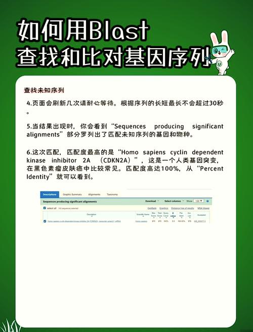 如何在biopython中实现序列比对操作？
