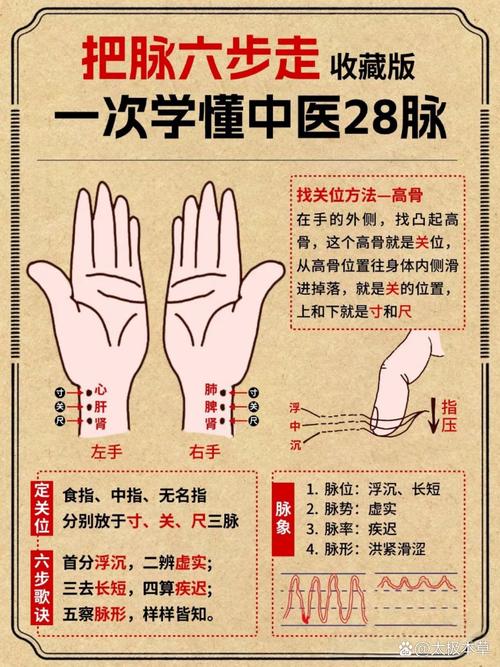 如何洞察排名周期，精准掌握排名脉搏？