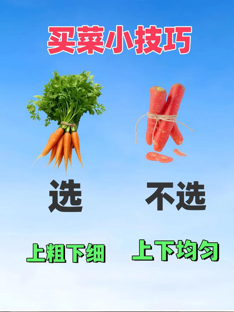 麻城网站SEO优化后如何让我买菜变得既方便又快捷？