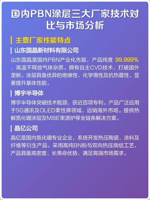 购买PBN还是租赁PBN，哪种方式更适合我的需求？