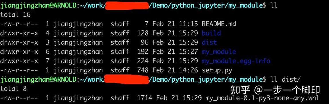 Python中如何使用特定模块进行开发？