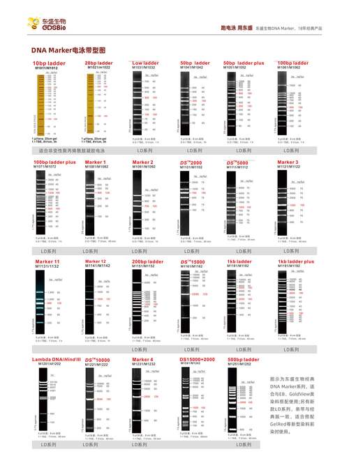 Freemarker如何简单高效地应用于各种场景和复杂模板的构建？