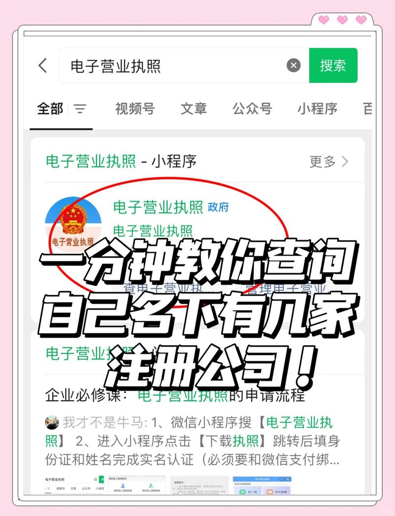如何查询各大域名构的具体收费标准及主要机构信息？