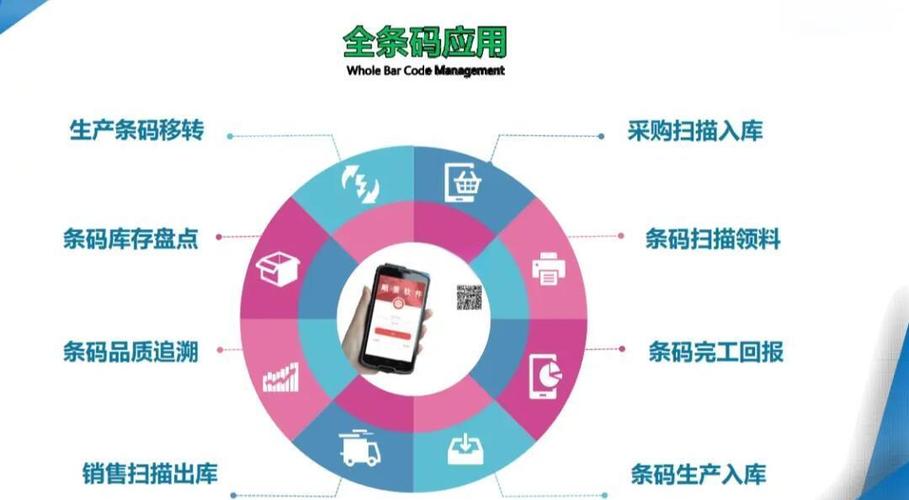 数据库系统的关键码有哪些应用场景？