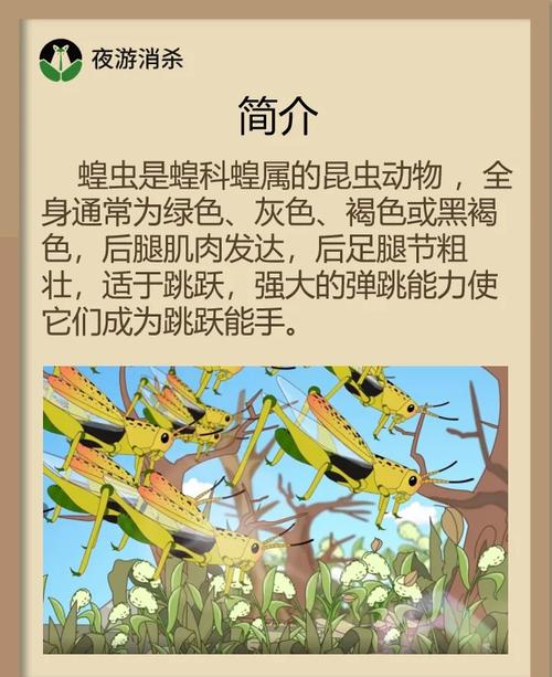 6000字《蝗虫入门指南》有哪些疑问解答？