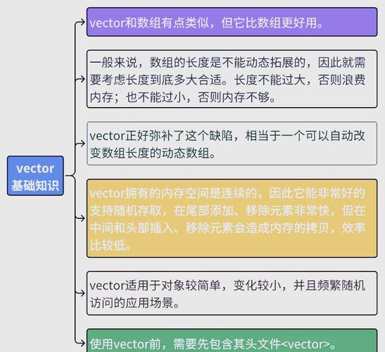 C++中string和vector的区别和用法有哪些详细解释？