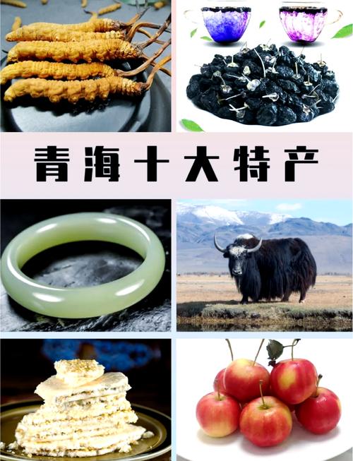 青海特产网购平台，哪里能买到正宗高原特色农产品直销？