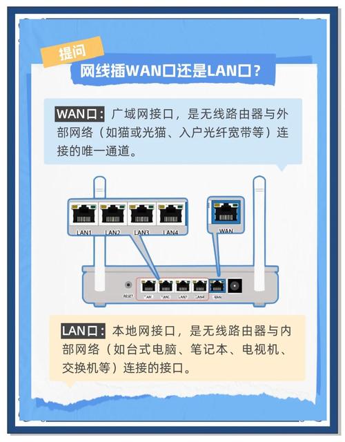 wan接口具体是哪种类型？
