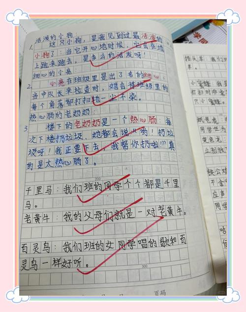 冒号课堂有哪些特色课程？