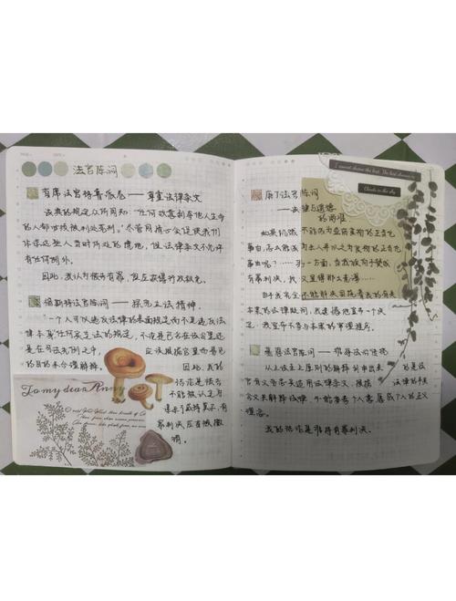 深度搜索免费探秘，有哪些不为人知的秘密可以一探究竟？