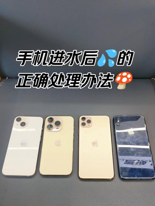 苹果手机进水后有哪些维修方法可以采取？
