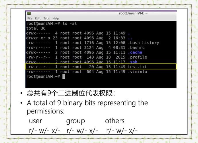 C语言如何编写一个类似Linux的ls命令？