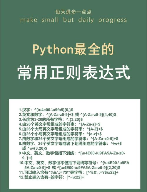 如何深入理解并运用Python正则表达式进行复杂文本处理？