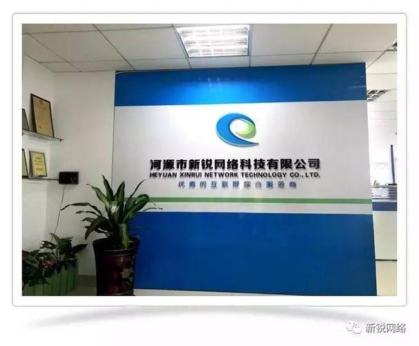河源专业网站建设公司，哪家能引领互联网时代新潮流的卓越网络体验？