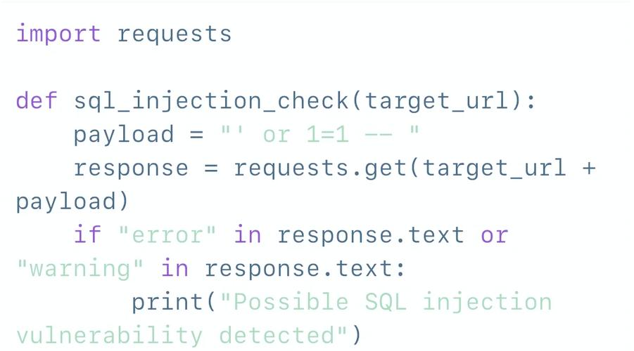 如何利用Python技术有效修复软件中的漏洞？