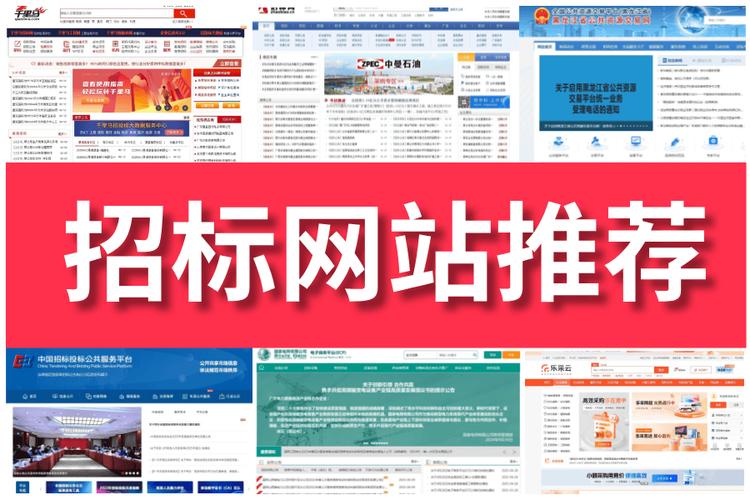灌南县网站建设专家如何携手招标网共建现代化网络门户，开启卓越之路？