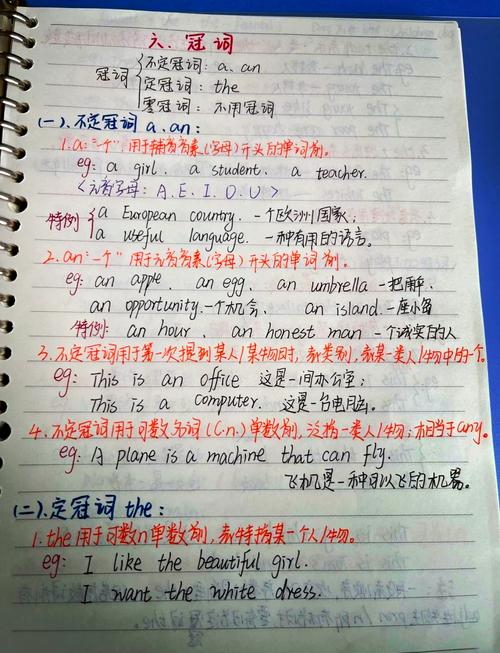 Angular中根模板和特性模板有什么具体功能和区别？