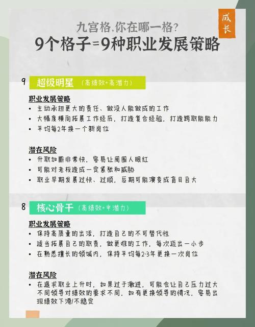 揭秘网站建设专业，职业定位与解析，这究竟是怎样的真实身份？