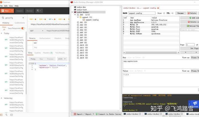 如何通过.Net Core实现选择数据的热更新，使服务自动感知配置文件的变化？