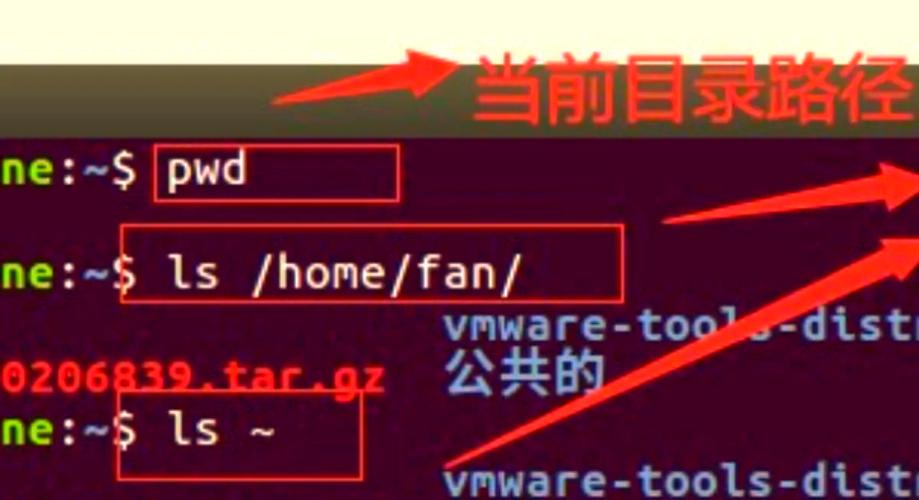 请问如何使用pwd模块来获取当前工作目录？