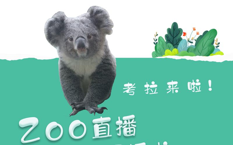 考拉直播平台是什么？
