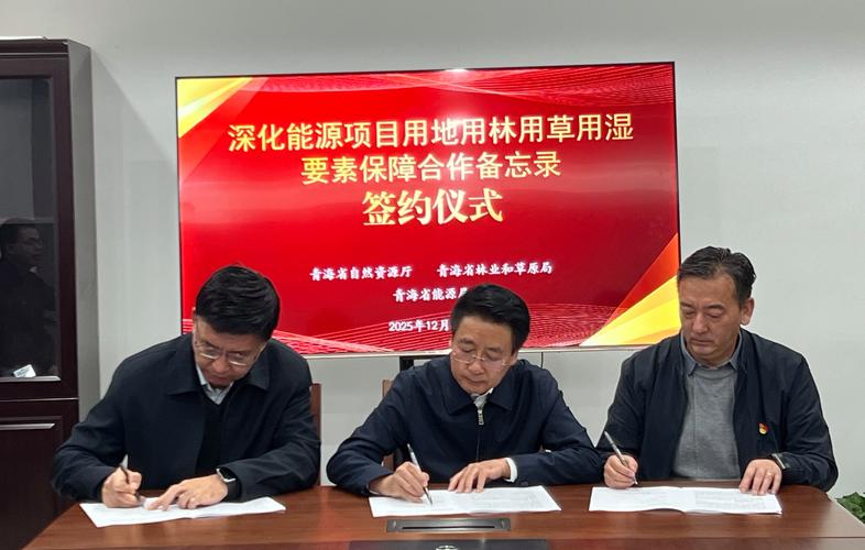 抚宁县网站建设专业度和深度如何，谁能成为最佳合作伙伴？