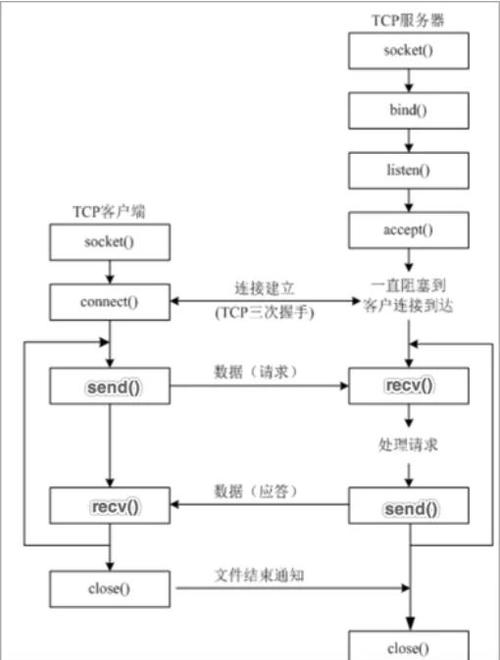 如何深入掌握Go语言网络编程函数，实现高效的TCP/IP通信？
