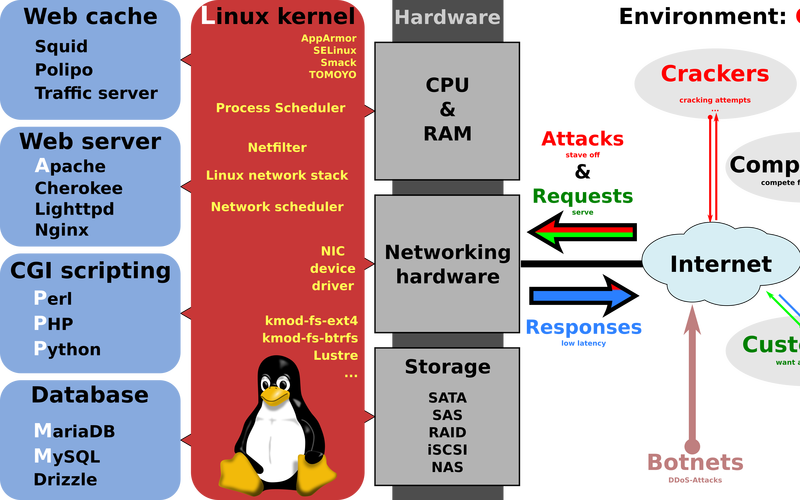 学习Debian LAMP部署，能否快速稳定搭建网站且有效降低成本？