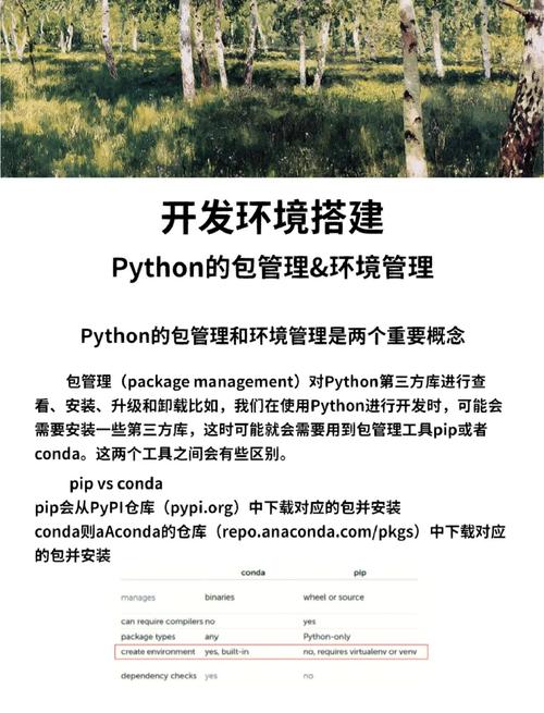 如何深入理解并高效使用Python中的模块与包？