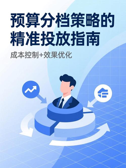 如何实现每日预算无忧的精准投放策略？