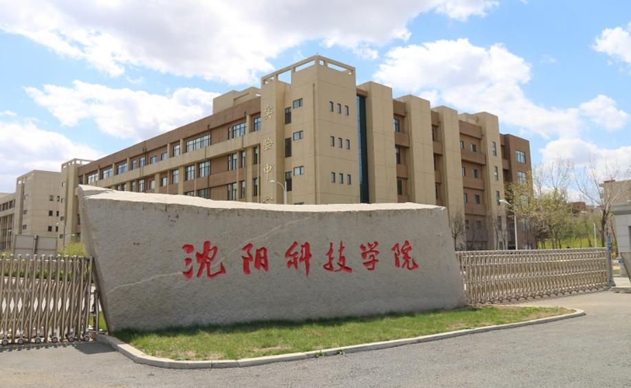 沈阳大东专业网站建设科技公司如何前瞻性地引领沈阳大东技术学院创新发展？