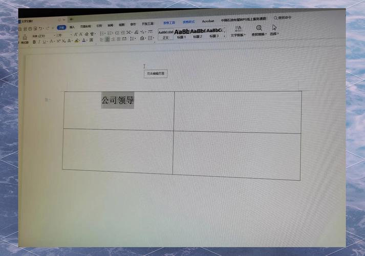 Delphi中如何精确调整TEdit控件文本的垂直居中位置？