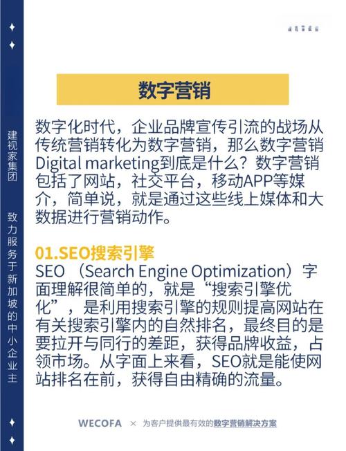 如何通过SEO运营入门，打造成为流量高手的数字营销高手？