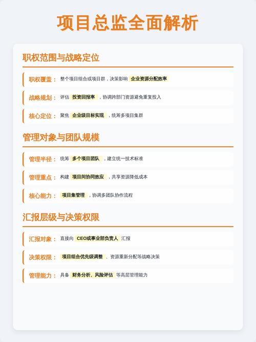 项目总监与项目总和总监职责有何具体区别？