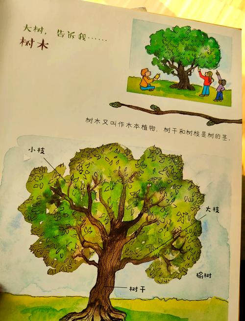 Ilya And The Tree中的哪棵树的故事最令人感动？