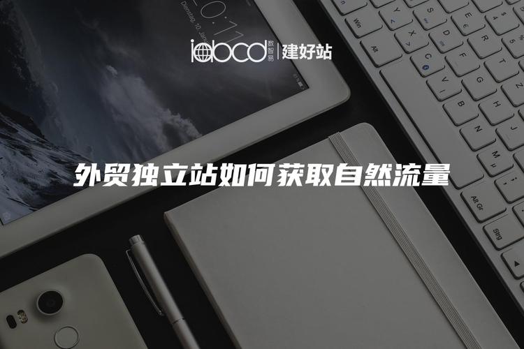 如何通过15天实操提升独立站自然流量获取效果？