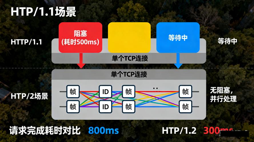 如何调整Go语言http.Transport的最大并发数以实现高效优化？