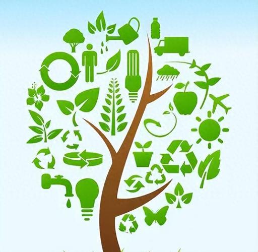 如何遵循自然法则，优化网站生态，打造绿色网络环境？
