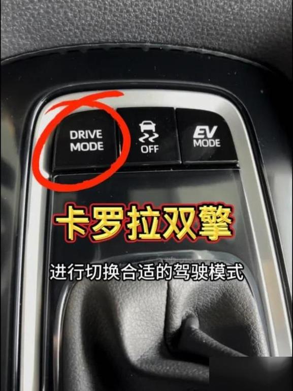 dest在车上指的是什么含义？