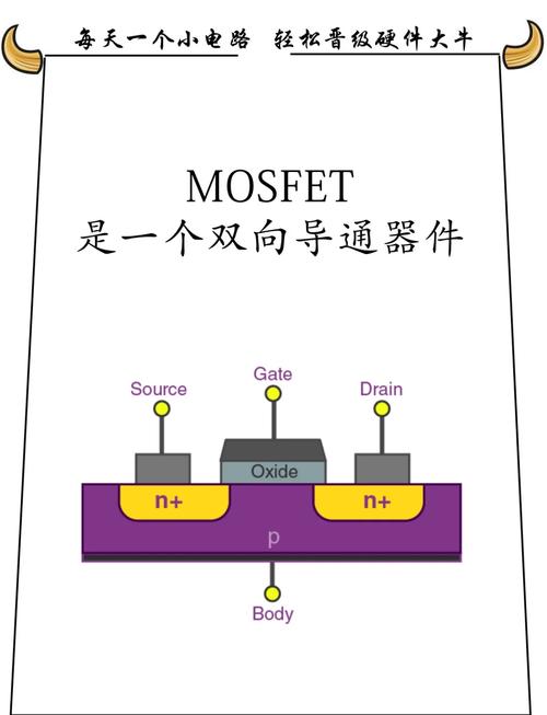 Svelte实现原理详解，如何用简单易懂的方式表达？