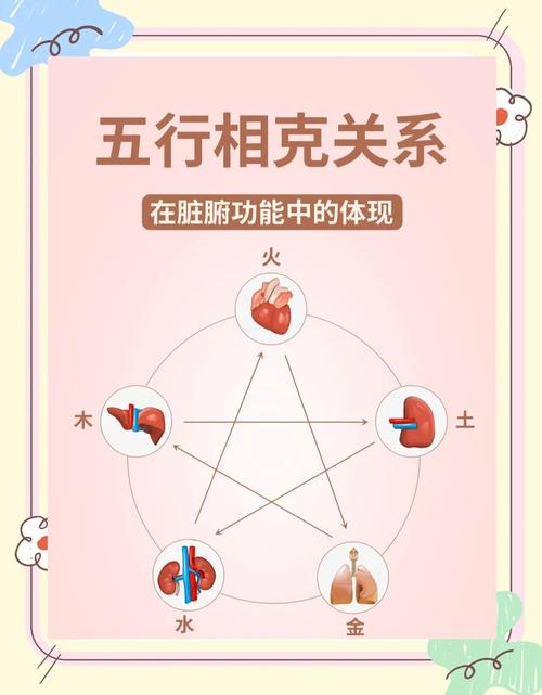 5克三大优势具体有哪些体现？