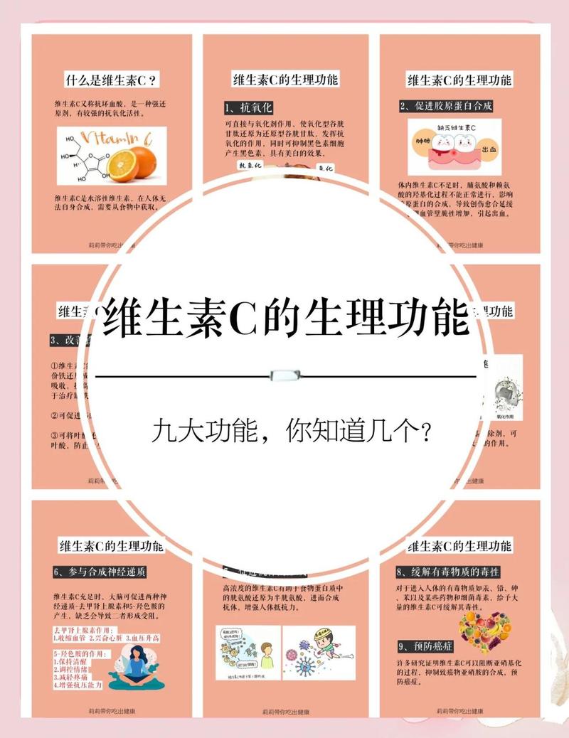 C之多态的内容是否丰富多样？