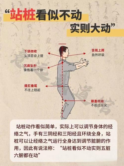 如何通过站桩练习，达到身心灵合一的守神静心境界？