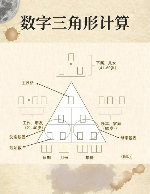 什么是self number？