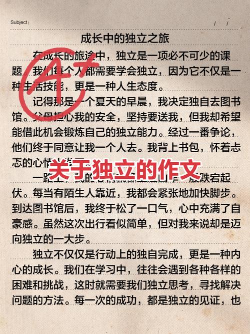 如何撰写独立站文章以吸引长尾关键词关注？