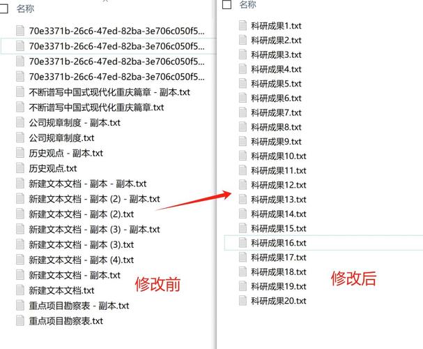 如何将文件重命名，使其成为子目录中年份的子目录名称？