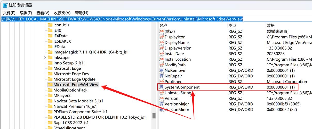 如何正确使用WPF中的WebView2控件并解决常见问题？