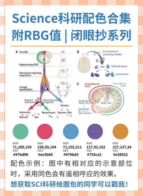 Flutter组件中如何实现取色最佳方案？