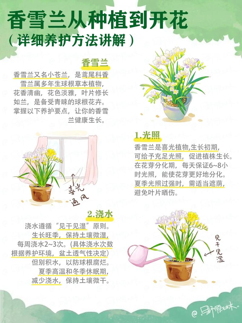 如何全面解析花卉种植与养护攻略？