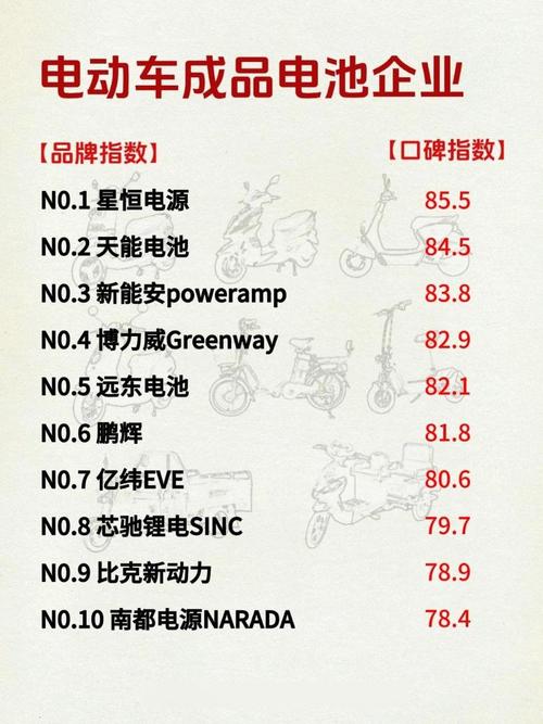 电动车锂电池品牌中，哪个品牌的质量和性能最为出色？